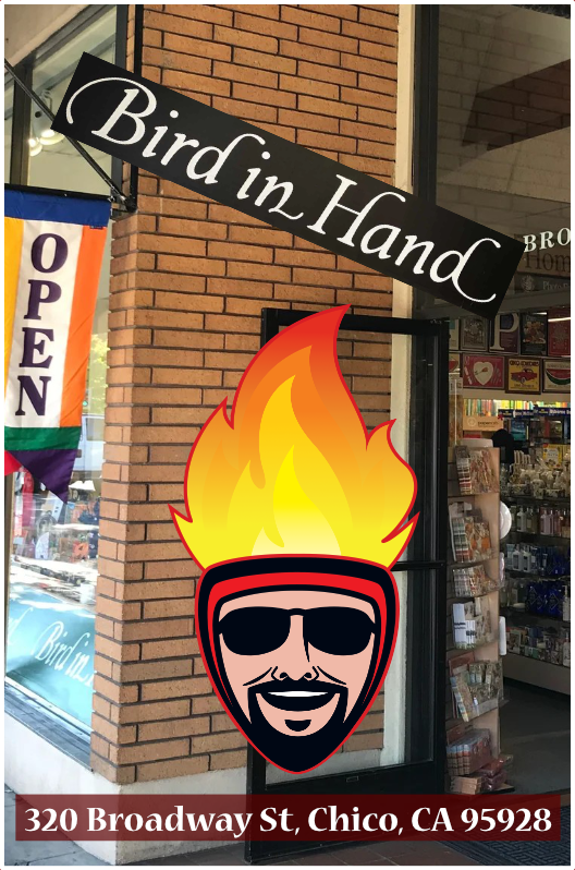 Bird in Hand